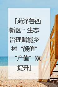 菏泽鲁西新区：生态治理赋能乡村“颜值”“产值”双提升